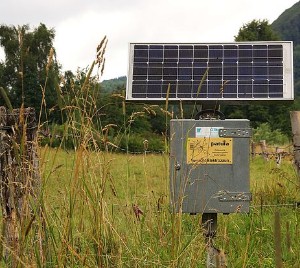 Powering an electric fence with a solar panel